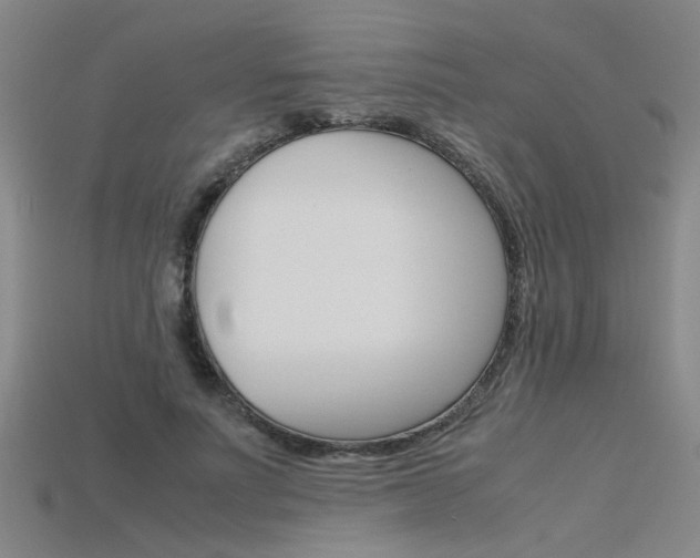 X0000115800691200911131022