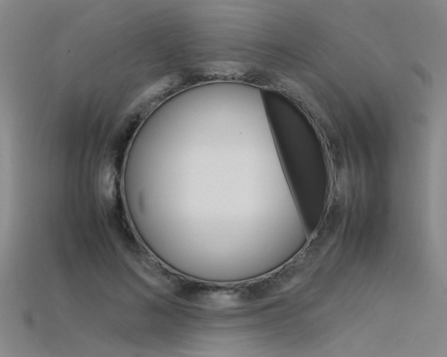X0000115800692200911131022