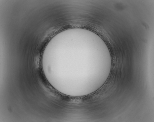 X0000115800694200911131022
