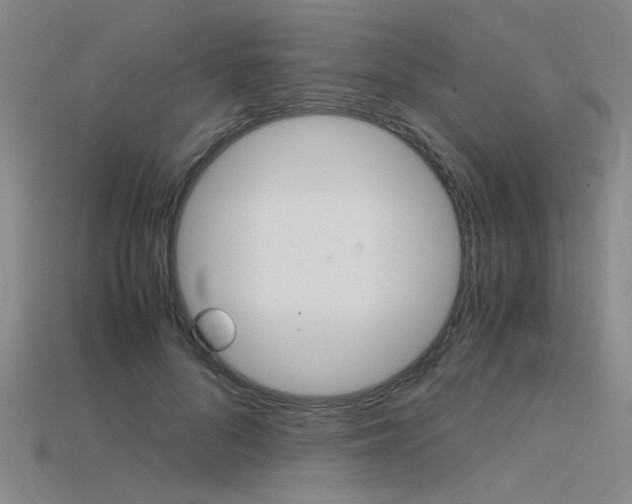 X0000115800696200911131022