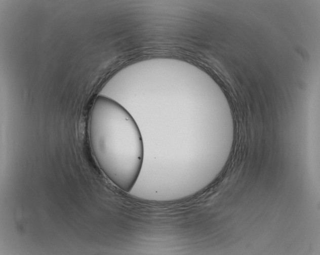 X0000115800697200911131022