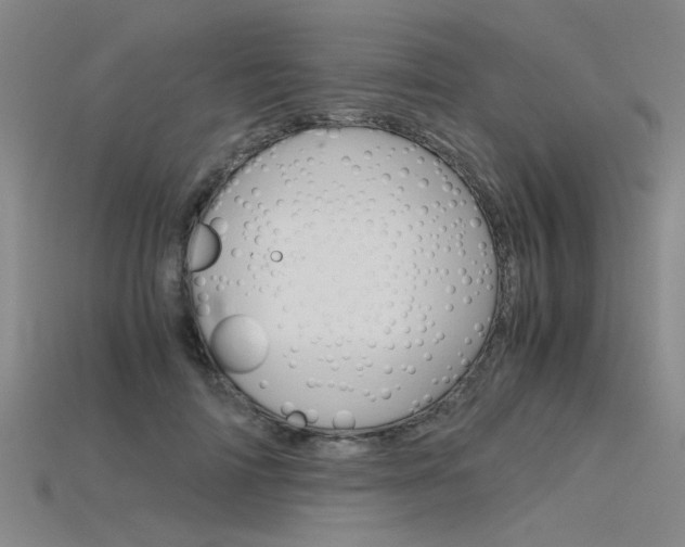 X0000115800698200911131022