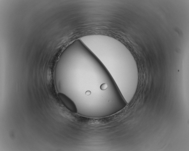 X0000115800704200911131022