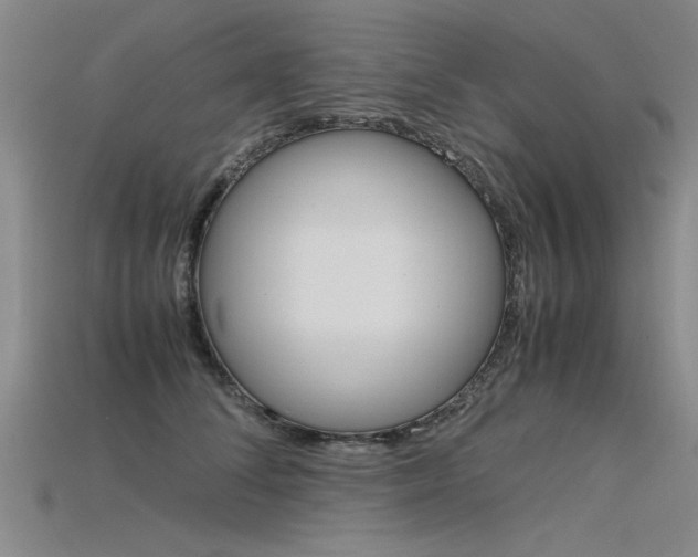 X0000115800708200911131022