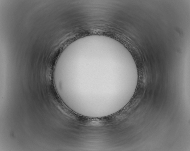 X0000115800710200911131022