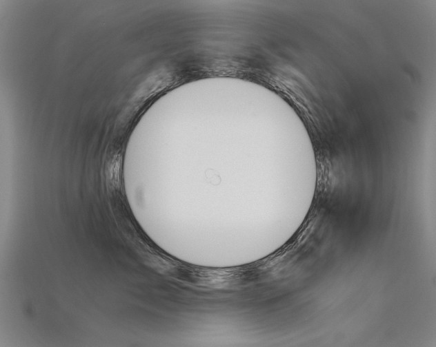 X0000115800717200911131022