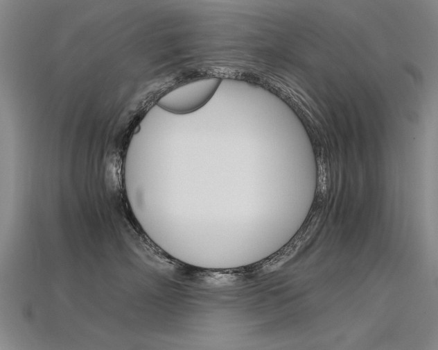 X0000115800718200911131022