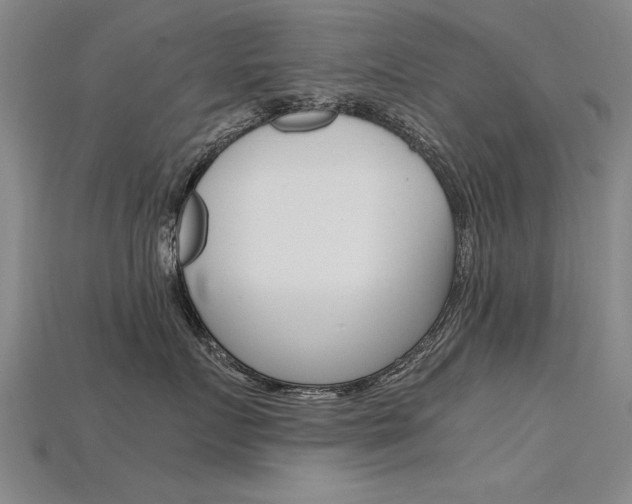 X0000115800719200911131022