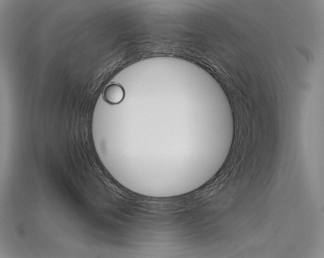 X0000115800720200911131022