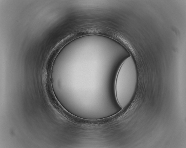 X0000115800722200911131022