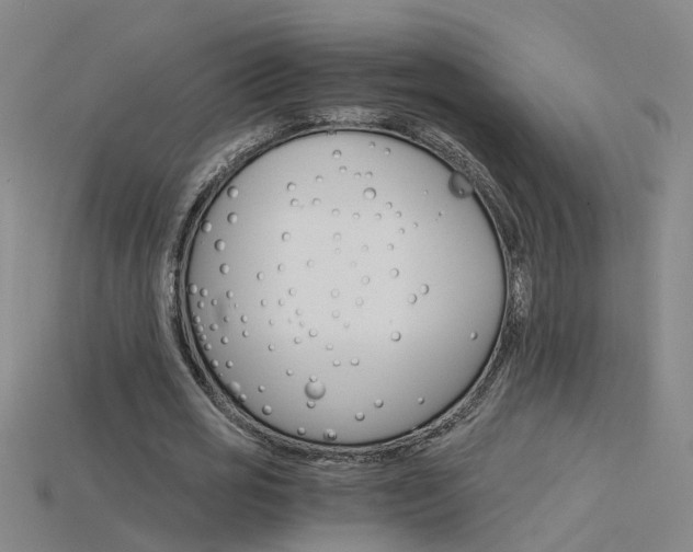 X0000115800725200911131022