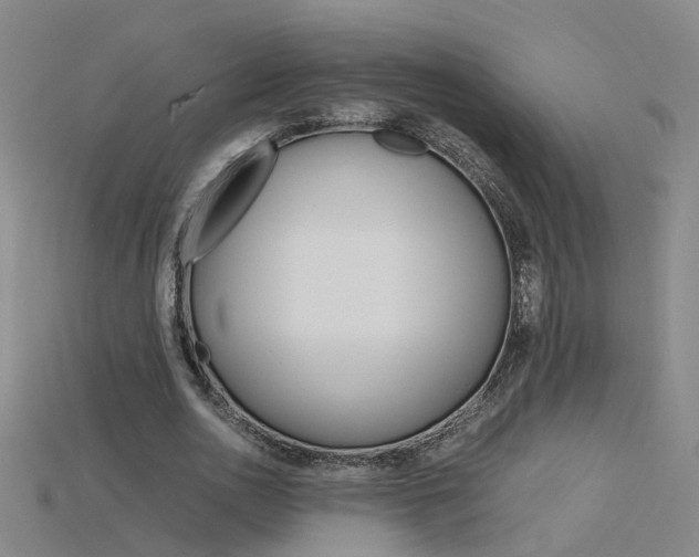 X0000115800726200911131022
