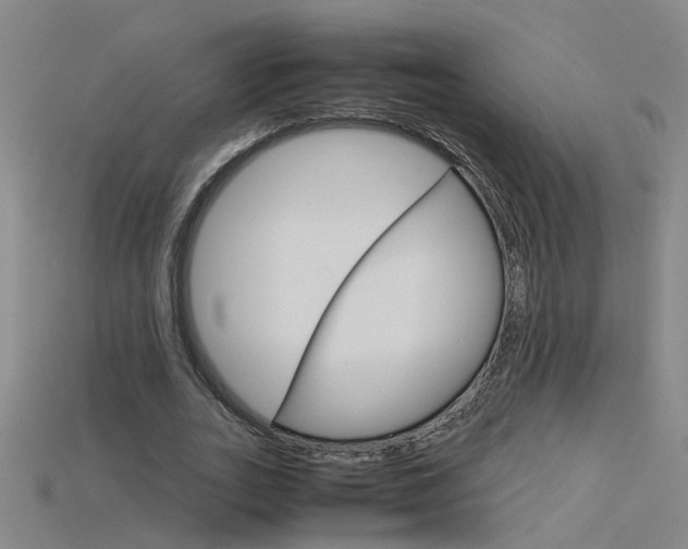 X0000115800727200911131022