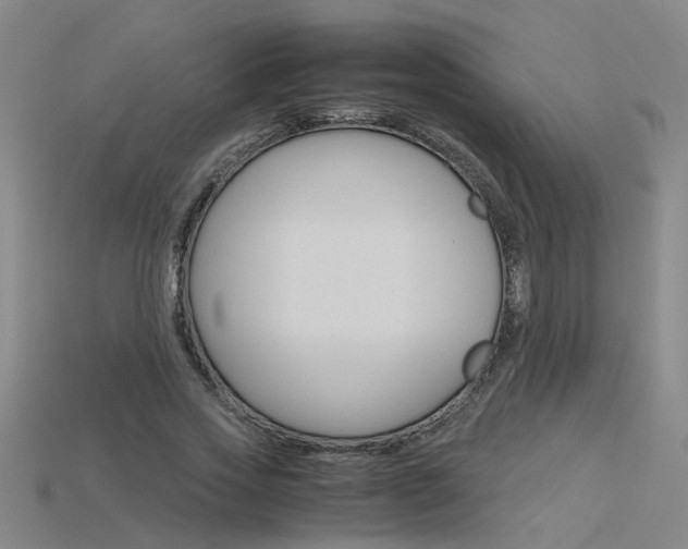 X0000115800733200911131022