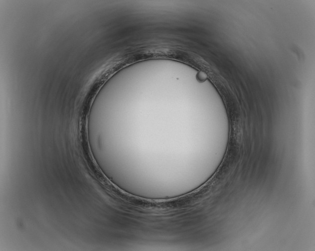 X0000115800735200911131022