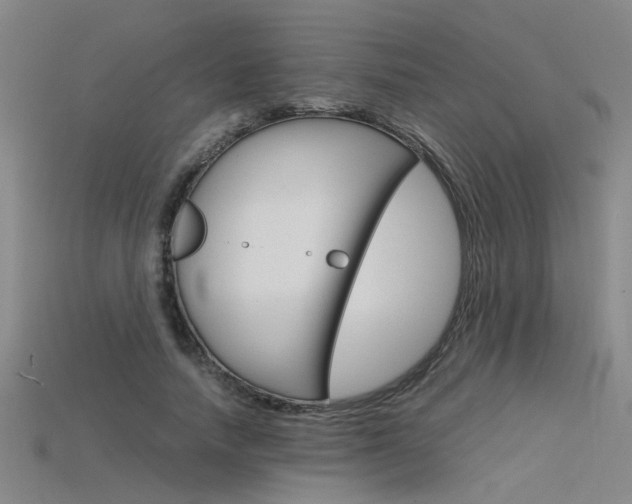 X0000115800738200911131022