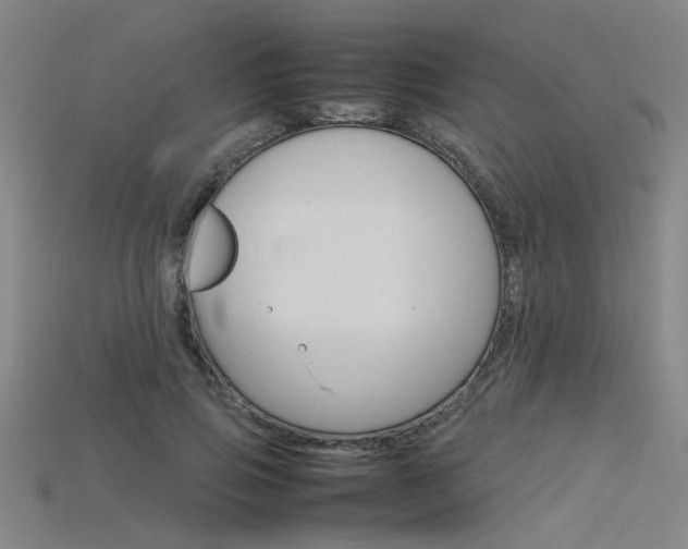 X0000115800741200911131022