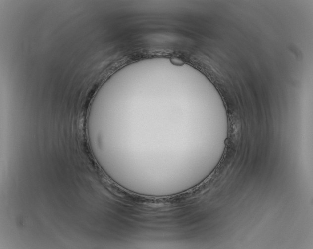 X0000115800745200911131022
