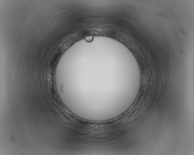 X0000115800749200911131022