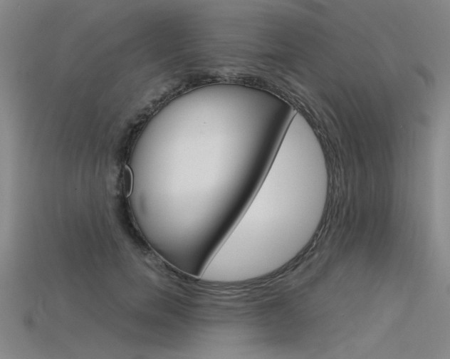 X0000115800750200911131022