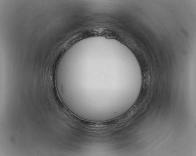 X0000115800754200911131022
