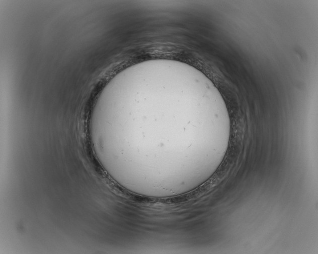 X0000115800755200911131022