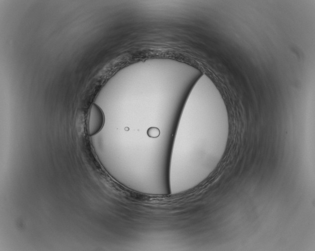 X0000115800758200911131022