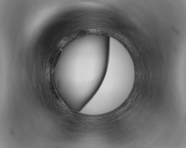 X0000115800762200911131022