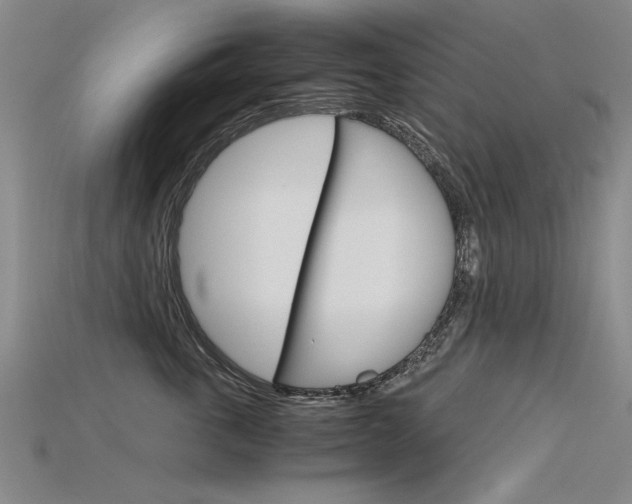 X0000115800763200911131022