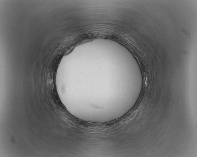 X0000115800771200911131021