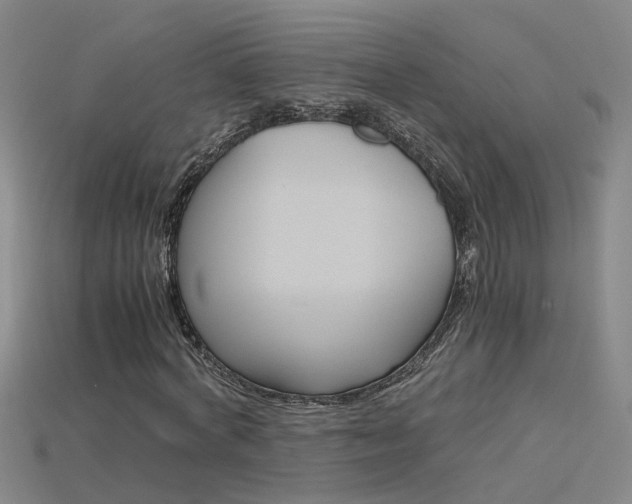 X0000115800772200911131021