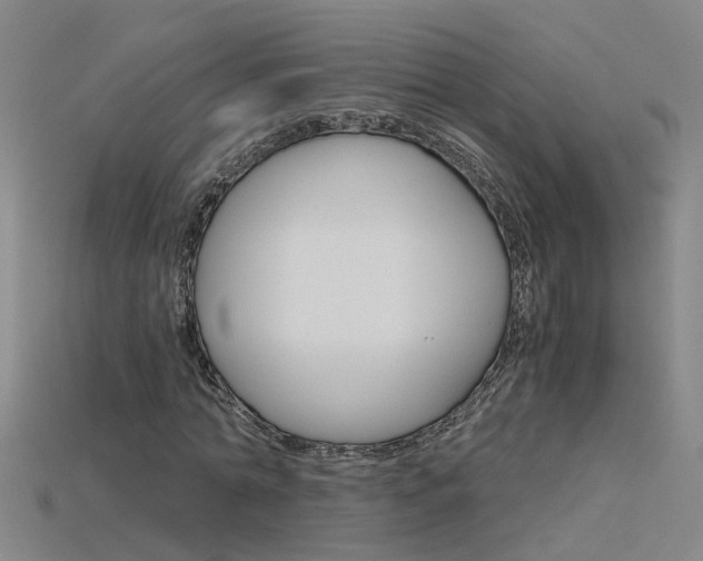 X0000115800774200911131021