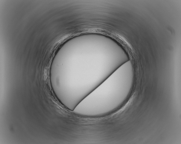 X0000115800777200911131021
