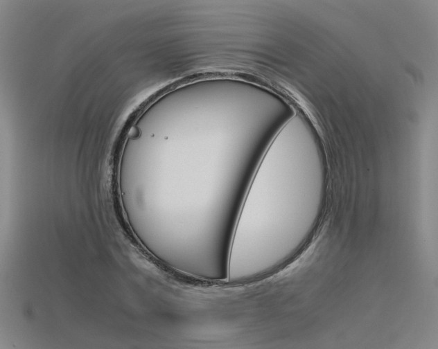 X0000115800779200911131021