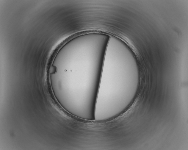 X0000115800780200911131021