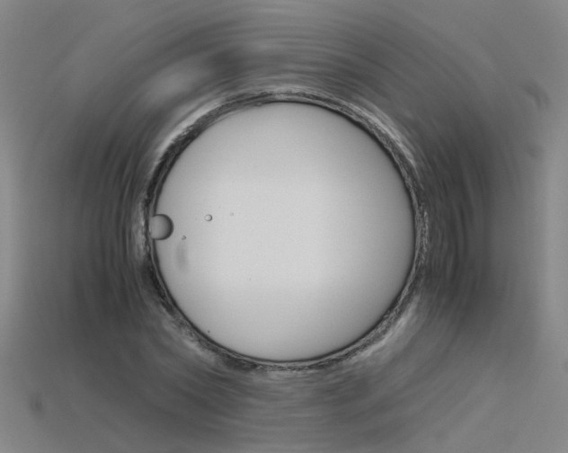 X0000115800782200911131021