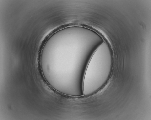 X0000115800783200911131021