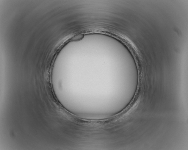 X0000115800785200911131021