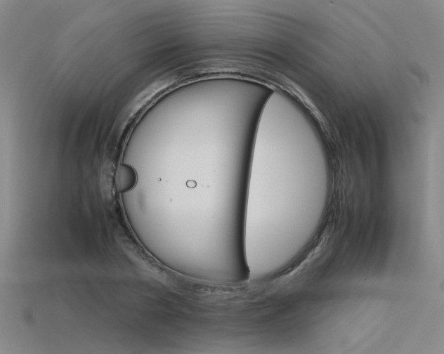 X0000115800786200911131021