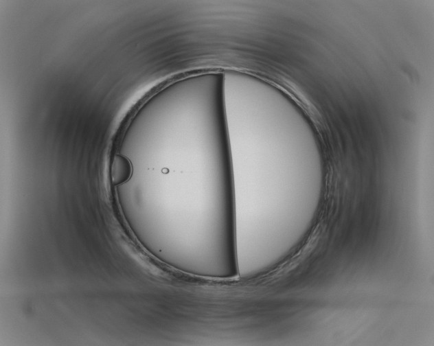 X0000115800788200911131021