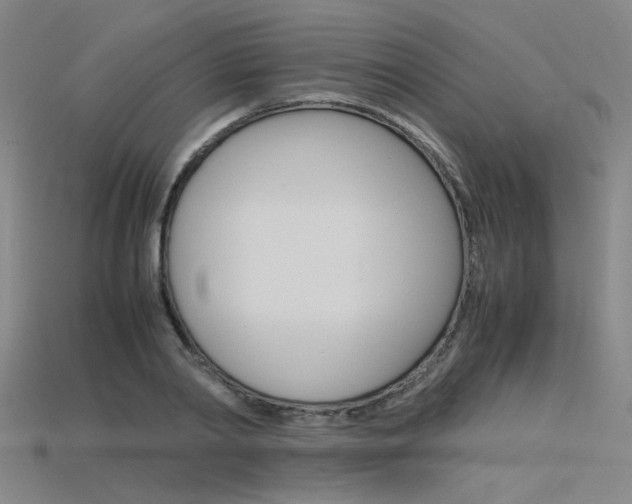 X0000115800790200911131021