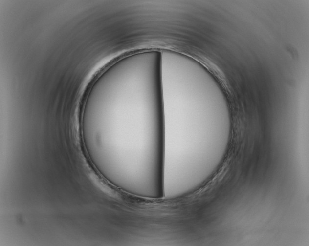 X0000115800792200911131021