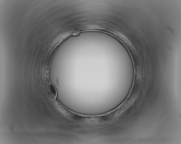 X0000115800793200911131021