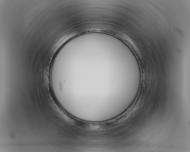 X0000115800794200911131021