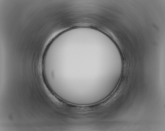 X0000115800795200911131021