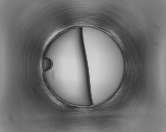 X0000115800796200911131021