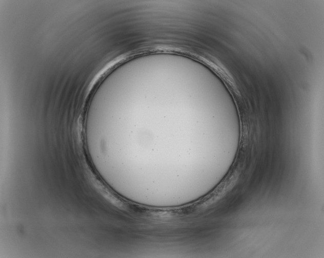 X0000115800798200911131021