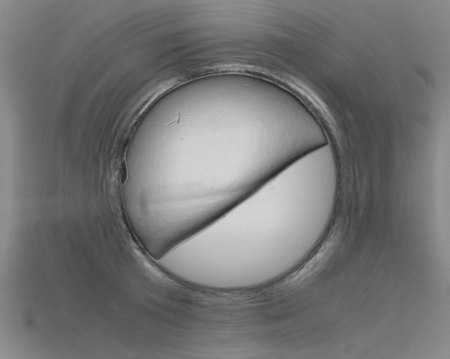X0000115800801200911131021