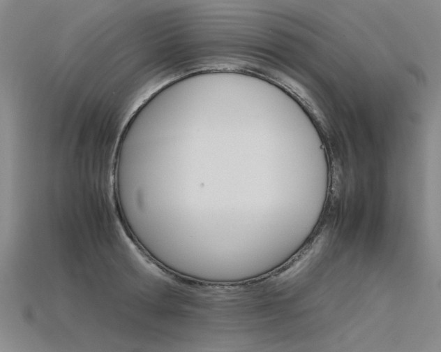 X0000115800802200911131021