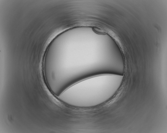 X0000115800803200911131021